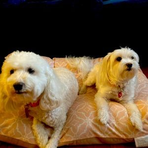 Meet your Posher, Akeem